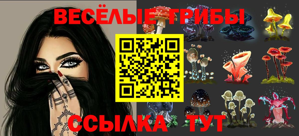 Галлюциногенные грибы GOLDEN TEACHER Кимовск